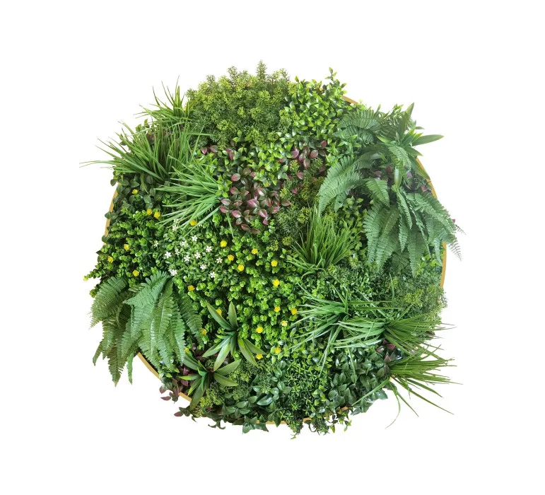 jardin-vertical-valhalla Planta Topiaria 28 cm